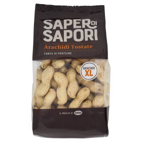 Selex Saper di Sapori Frutta Secca Arachidi Tostate con Guscio 300 g