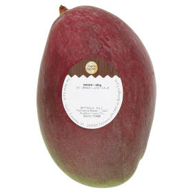 Selex Saper di Sapori Mango 380 g