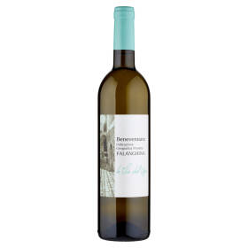 Le Vie dell'Uva Falanghina Beneventano IGP 750 ml