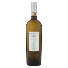Le Vie Dell'Uva Fiano di Avellino D.O.C.G. 750 ml