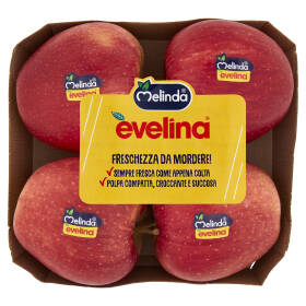 Vassoio 4 frutti 750 gr Evelina 75/80
