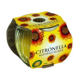 Candela citronella bicchiere