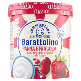 Sammontana Barattolino Classico Panna e Fragola 500 g