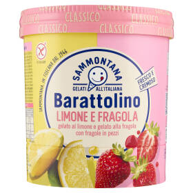 Sammontana Barattolino Classico Limone e Fragola 500 g