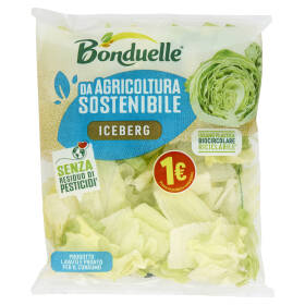 Bonduelle Iceberg 100 g