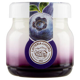 AlpiYò Yogurt di Valtellina Intero con confettura extra di Mirtillo 125 g