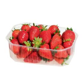 Fragole Sorriso vassoio gr 500