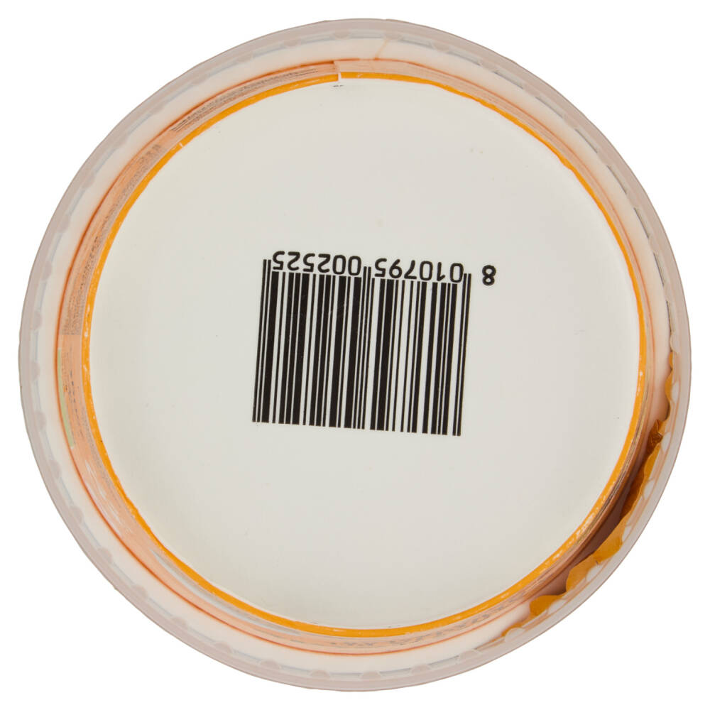 Scaldasole Vaniglia del Madagascar Yogurt Bio 250 g NonPesa.it