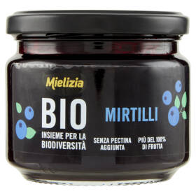 Mielizia Bio Mirtilli 250 g