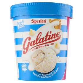 Galatine Gelato con Tanto Latte e Gocce di Cioccolato Bianco 500 ml