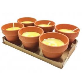 Set di 6 candele alla citronella in vaso terracotta da 6cm