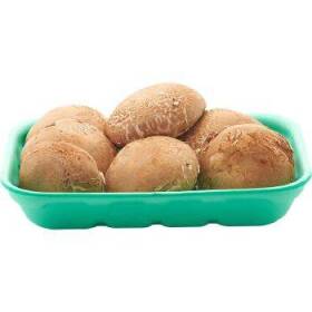 Funghi champignon crema gr 400