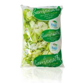 Indivia scarola liscia gr 500