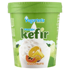 Yogurteria Frozen Yogurt Frozen kefir Multifrutti 250 g