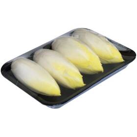 Indivia belga gr 500