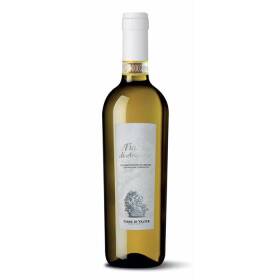 Terre di valter fiano docg 75 cl